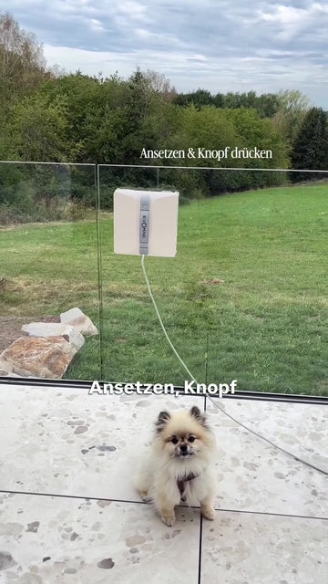 Kundenvideo